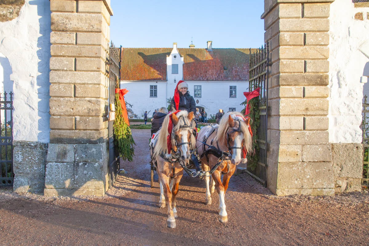 Julmarknad Bosjökloster