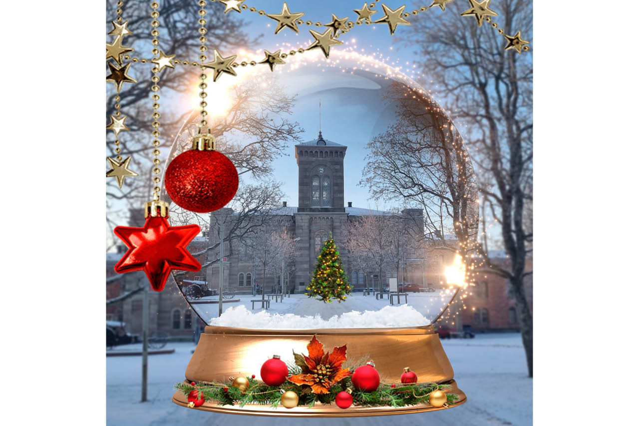 Karlsborgs Fästnings Julmarknad
